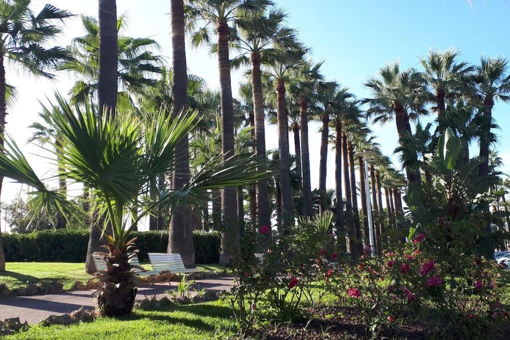 Bright - Cannes, La Croisette Apartamento *